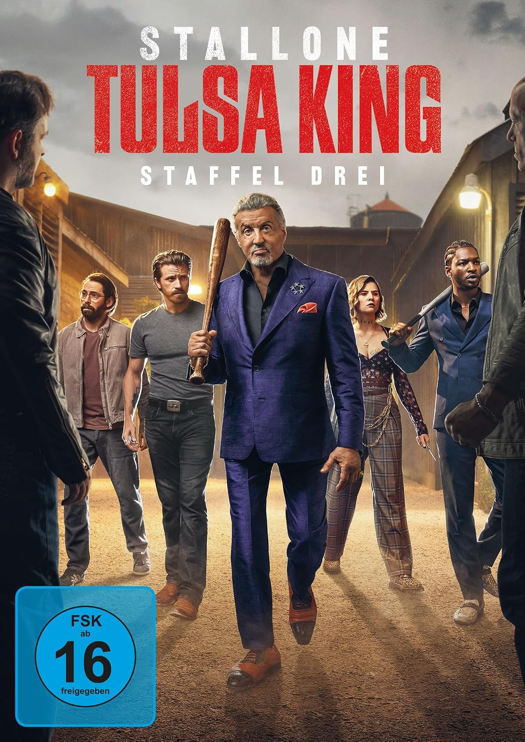Preis-Leistungs-Analyse : Tulsa King - Staffel 3 3 DVDs