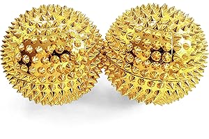 ‎MYSKILLS4LIFE 2x DBT Skills Igelball | Magnetischer Hochstress Akupressurball | zum Stressabbau oder zur Massage | gegen Anspannung und für mehr Beweglichkeit und Konzentration (Gold)