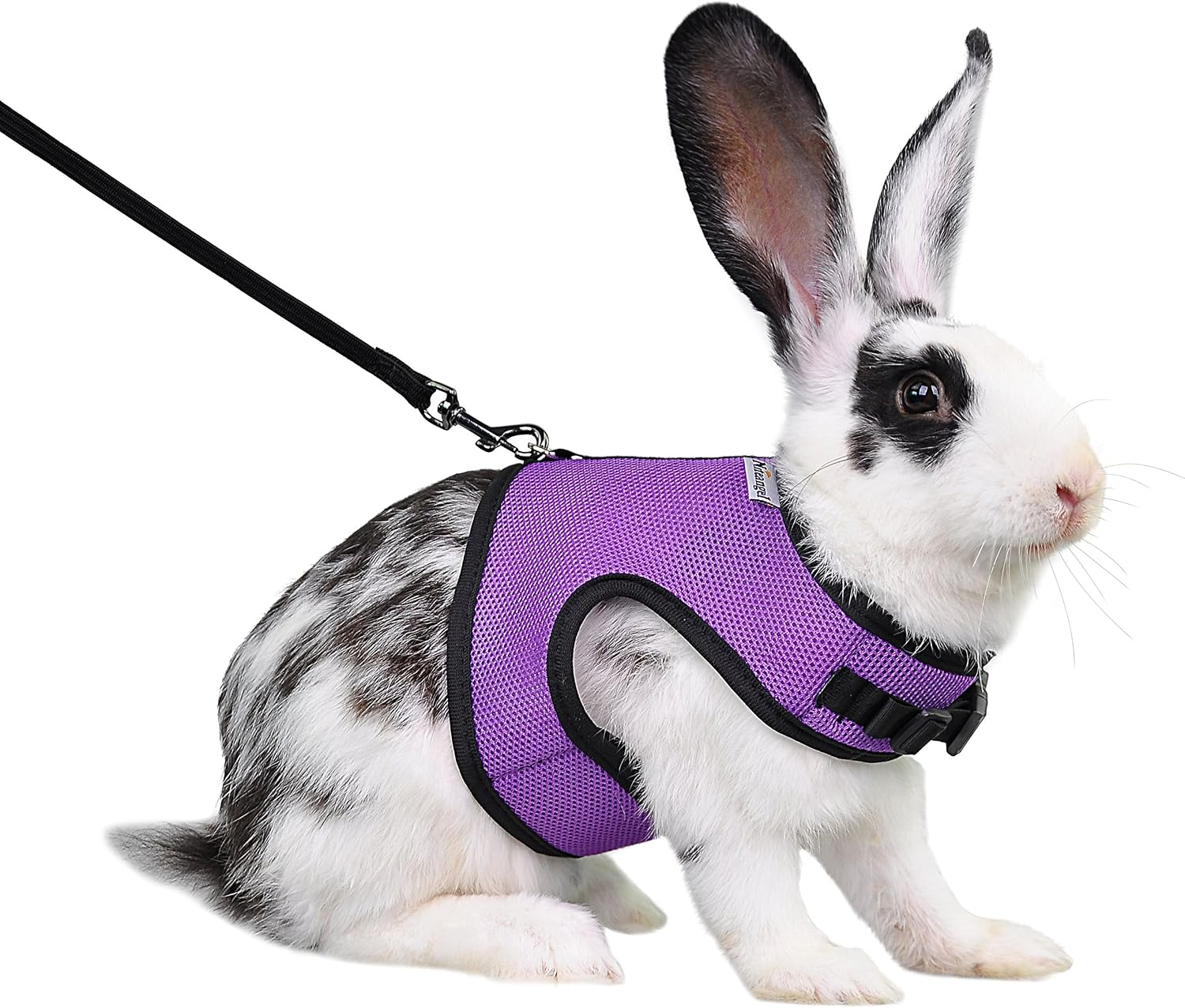 Niteangel Adjustable Soft Harness with Elastic Leash for Rabbits (XL, Purple)