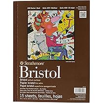 Blocco Carta Strathmore 500 Series Bristol - 15 Fogli Superficie Pergamena - Foto 8