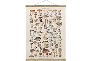 Bilderwelten Stoffbild Posterleisten Vintage Lehrtafel Pilze Hochformat 4:3 66.4x50cm Eiche