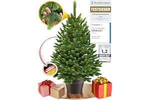 ‎ARTITREE ArtiTree - Künstlicher Weihnachtsbaum im Topf - Christmas Tree für Innen und Außen, Kunstlich Baum für Weihnachtsdeko, Realistische Optik (80 cm, ohne Beleuchtung)