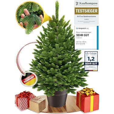 Amazon.de Bestseller: Die beliebtesten Artikel in Knstliche Weihnachtsbume