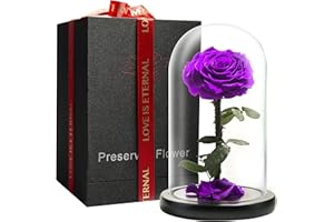 LOVAPPY Preserved Forever Rose in Glass Dome - Beauty and the Beast Romantic Gifts for Her - Eternal Rose Preserved Flowers - Preserved Rose Mother Gifts - Mum Birthday Gifts for women (Purple, 23 cm)