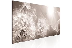 CUADROS B&D XXL murando Cuadro en Lienzo Diente de leon 150x50 cm 1 parte impresión en material tejido no tejido cuadro de pared impresión artística fotografía imagen gráfica Naturaleza Flores b-C-0161-b-a