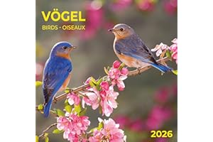 Heimische Vögel 2026: Kalender 2026
