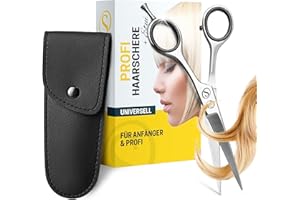 SCHMIEDWERK Haarschere | Friseurschere - scharfer & präziser Schnitt | Perfekter Haarschnitt für Damen & Herren | Profi Haarschneideschere mit Etui (Silber)