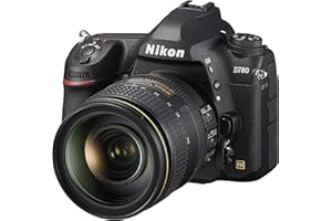 Nikon D780 + AF-S NIKKOR 24-120 VR Reflex Digitale, 24.5 MP, CMOS FX Full Frame, 2 Slot Cart, Face Det AF Live View, Mirino Ottico, fino a 12 fps, Lexar SD 64GB 800x [Nital Card: 4 Anni di Garanzia]