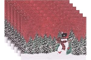Aofmee Christmas Placemats Set of 6, Washable Christmas Table Mats for Kitchen Dining Table, Indoor/Outdoor Woven Vinyl Christmas Place Mats, Non-Slip Heat Resistant Holiday Placemats Easy to Clean