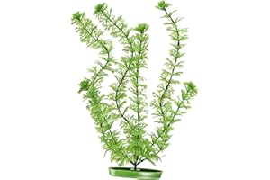 Marina Pianta in plastica per acquario Ambulia, 30 cm