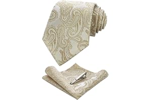 JEMYGINS Cravate Homme Paisley en Soie et Pinces à cravate et Carre de poche Ensemble Compris boîte