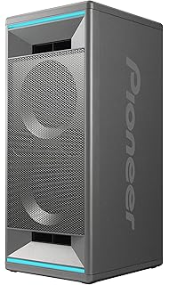 pioneer party speaker