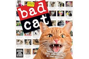 Bad Cat Wall Calendar 2024: Celebrating the Misfits of the Feline World