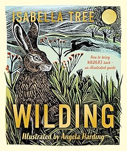 kindle best category lists