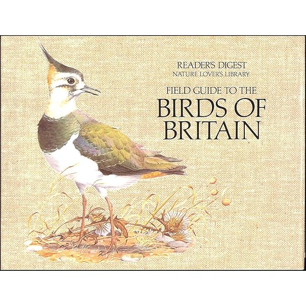 送込★FIELD GUIDE TO THE ANIMALS OF BRITAIN 91FKyVS7xiL.jpg_BO30,255,255,