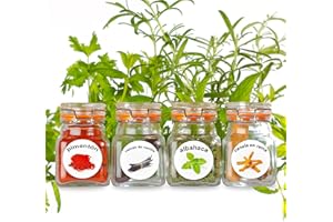 LABELCREATE Nuevo - 50 Etiquetas Lavables de Plástico para Botes de Hierbas y Especias. Atractivas Imágenes en Color de 50 Hierbas y Especias.