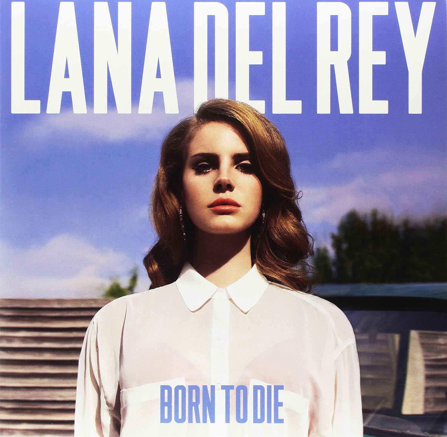 Vue 5