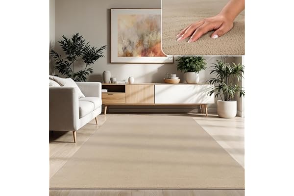 Paco Home Alfombra Moderna y Suave para Salón a Pelo Corto Lavable Fluffy Uni Efecto Piel Intemporal Elegante Antideslizante Fácil de Limpiar, tamaño:160x220 cm, Color:Beige 2