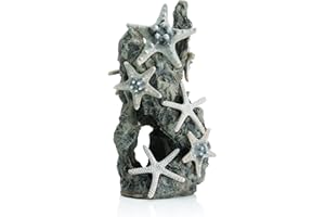 biOrb Ornement en rocher peuplé d’étoiles de mer