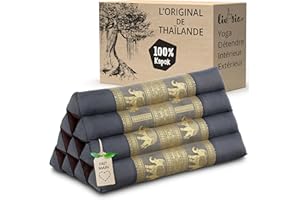 Livasia Coussins de Soutien Dorsal en Soie thaï - 32x55x30cm - Coussins triangulaires pour Le Jardin et Le Balcon, Coussins en biseau en kapok, Faits Main (Gris/Éléphants Soie)