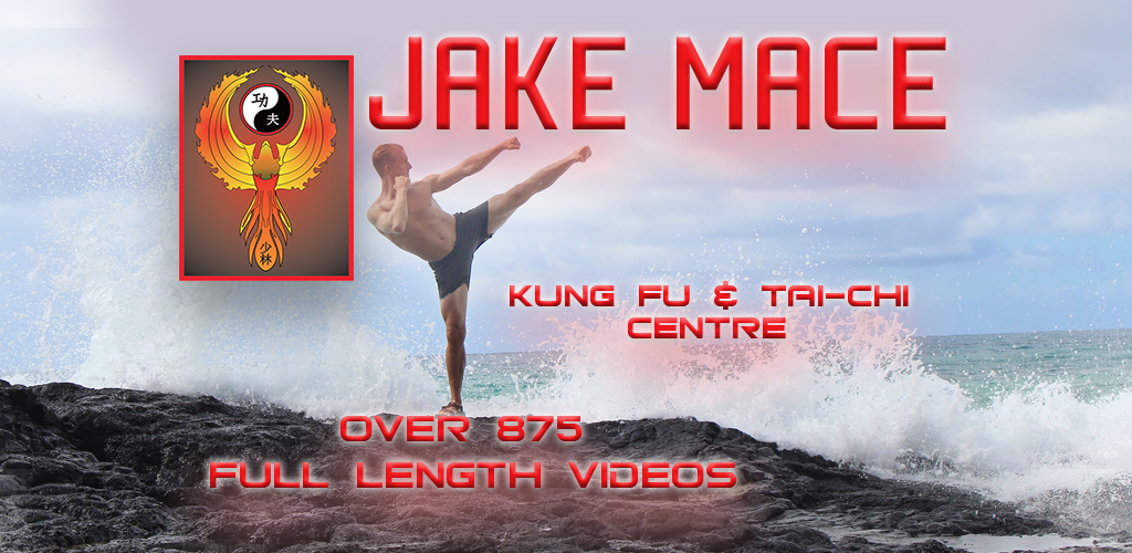 Jake Mace Kung Fu & TaiChi Amazon.co.uk Apps & Games