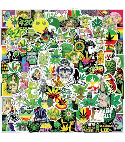 100 Adesivi Divertenti Impermeabili Per Adulti – Meme Umoristici Per Laptop, Bottiglia E Skateboard - 4