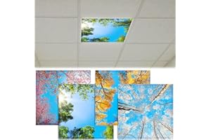 CNSJ 4 Pcs 2 x 2 Feet Fluorescent Light Covers Magnetic Ceiling Light Classroom Reducing Harsh Glare Flicker Led Filters Shield for Office Home Studio School Drop Decor (Spring Summer Autumn Winter)