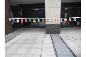 AZ FLAG - Guirlande Drapeau Coupe d'Afrique des Nations 2015-5 Mètres Avec 16 Fanions De La Can De Football 2015 De 21x14 cm - Petits Drapeaux 100% Polyester - 50g