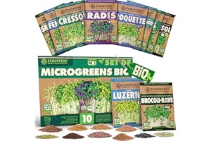 ZenGreens® - Graines germées bio en Kit de 10 - Graines germées - Culture facile en pot ou en terrine - Paquet d'essai - 10 variétés différentes - Microgreens Samen Mix - Lot de 10