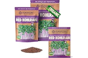 ZenGreens® - Organiczne nasiona czerwonej kalarepy - Wybierz pomiędzy 10, 200 g i 500 - nasiona czerwonej kalarepy o zdolności kiełkowania ponad 97% - nasiona czerwonej kalarepy kiełki