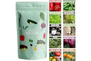 Scott&Co. Salad Seed Variety Pack, UK Veg Planting, Beetroot, Tomato, Lettuce, Spring Onion, Radish, Cucumber, Rocket, Pepper Vegetable Seeds, Christmas Gifts for Men and Women