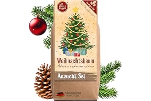 Little Plants Christmas Tree Growing Set - Christmas Tree, Advent Calendar Filling, Secret Santa Gift, Christmas Tree in Tin, Advent Calendar Fill Contents, Christmas Tree Gift Set (Variant 2)
