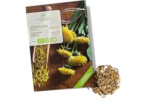 BIO Graines de pissenlit - Graines 