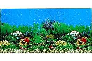 EUROPET BERNINA Ebi Mer/Rocher Poster Fond de Aquarium pour Aquariophilie 80 x 40 cm