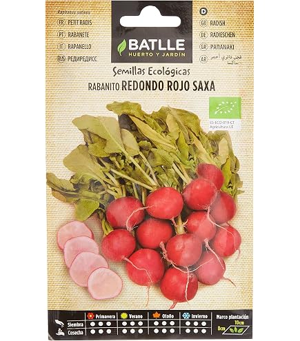 350 Semillas De Rabanito | Cuotas sin interés