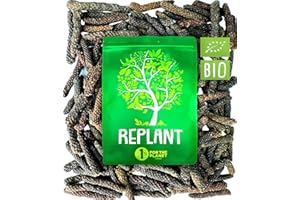 REPLANT - Poivre Long de Java BIO 150g - Grand Cru de Java 2023 - Poivre Long Entier - Sachet "FreshZIP"