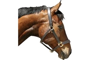 Kerbl Collier Tête Eco