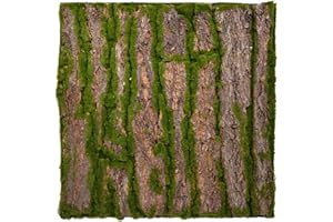 UNUS REPITERRA Terrario parete posteriore 3D effetto corteccia, 58 x 58 cm, per estendere terrari