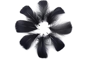 Totofy 600 Plumas Negro,Manualidades Natural Plumas de Ganso, para decoración del hogar,Disfraces Hats, Bodas y proyectos de Bricolaje.