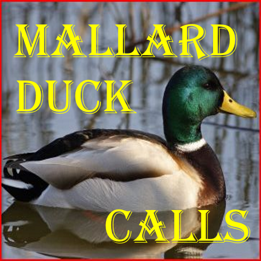 Mallard Duck Calls Amazon.co.uk Apps & Games