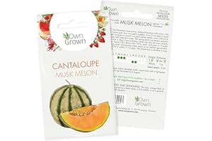 Grow Your own Melon: Premium Musk Melon Seeds for 15 Plants – Sugar Melon Plant Seeds for Planting Melons – Cantaloupe Seeds - Charentais Melon Seeds - Fruit Plant - Fruit Seeds for Planting OwnGrown