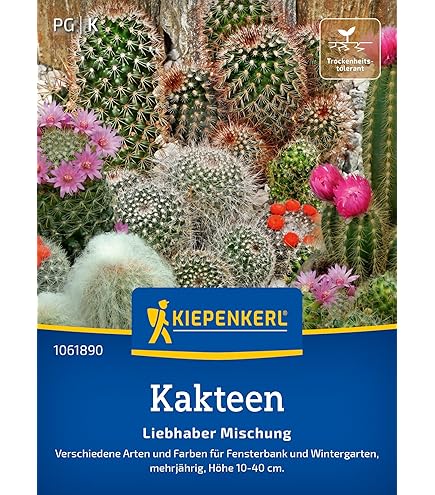 Portal Cool 20 Stck Brentatze Sukkulenten Kaktus Cotyledon Tomentosa  Samen Lm: Amazon.de: Garten