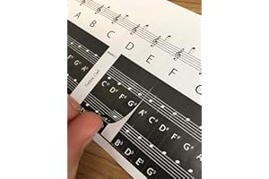 FLOORDROBE CLOTHING 61 Piano Keyboard Removable Stickers for White and Black notes with notation