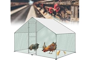 ACXIN Kurnik 3 x 2 x 2 m wybieg dla kurników drzwi z zamkiem, ocynkowana rama stalowa, powlekany PE dach do klatki dla kurników, dla małych zwierząt