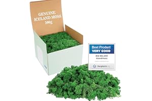 Mia Milano Mousse Naturelle décorative | pour Les crèche et Le Bricolage, en Plaque, réutilisable (Vert Naturel, 500g)