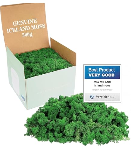 prefleur 5 Farben Mix Pack konserviert Rentiermoos Natur Grün DIY Kit