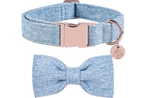 DOGWONG Hundehalsband mit Abnehmbarer Fliege, Blau Haustierhalsband Hundefliege Geschenk für Mädchen oder Jungen Hunde, Bequeme verstellbares Hundehalsband für kleine mittelgroße Hunde