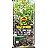 COMPO SANA Grünpflanzen- und Palmenerde mit 12 Wochen Dünger für alle Zimmer- und Balkonpflanzen sowie Palmen und Farne, Kult