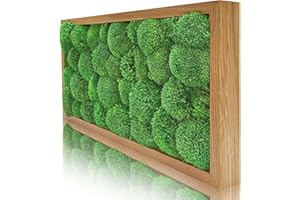 Naturewalls Parent- Moosbild KM (Eiche, 60 x 30)