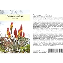 Seedeo Feuer-Aloe (Aloe ferox) 20 Samen : Amazon.de: Garten
